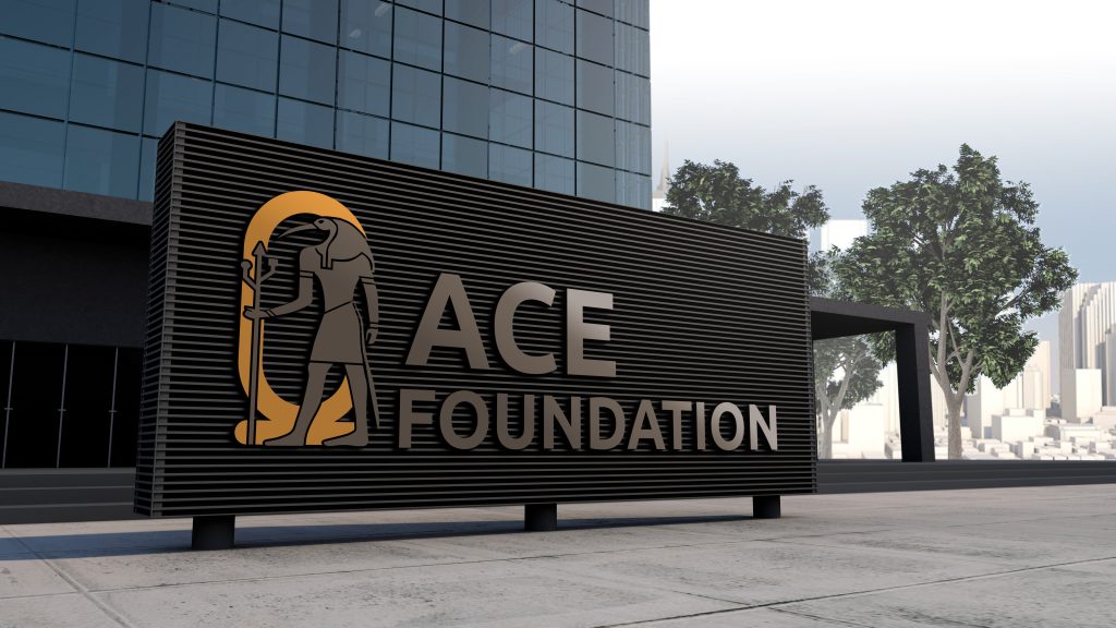 ACE Foundation Simulation