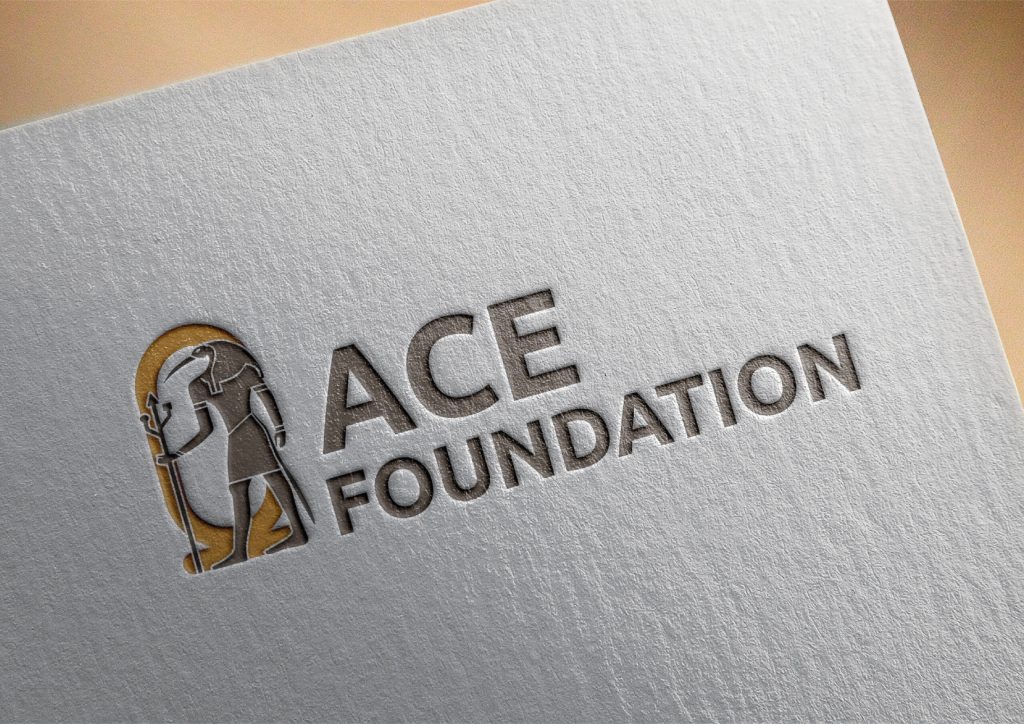 ACE Foundation Simulation